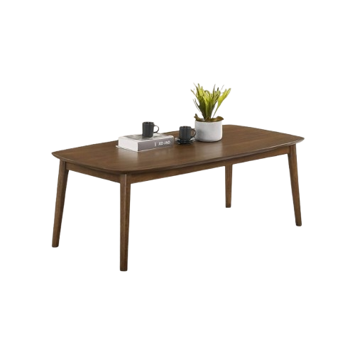 Living room coffee table